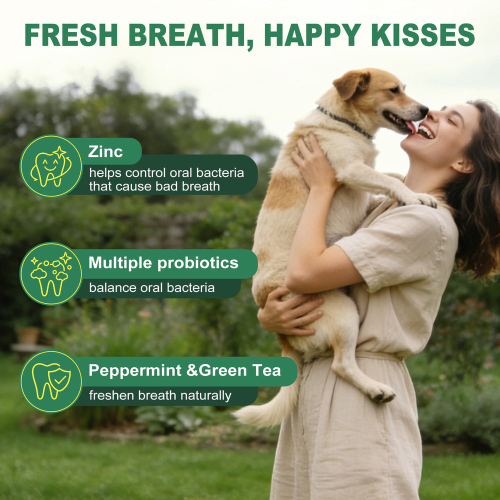 Kiuquty dental powder suitable for dogs and cats of all sizes and ages.