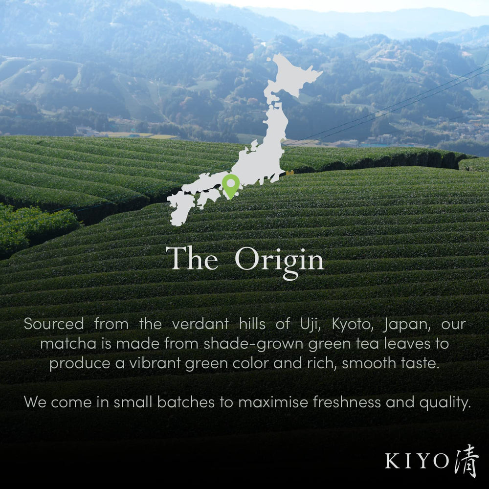 Kiyo Matcha Classic Hatsumukashi steamed leaves and powder texture close-up.