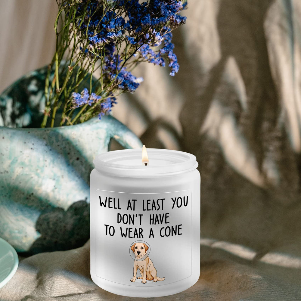KLL get-well gift with humorous message boosts mood during recovery.