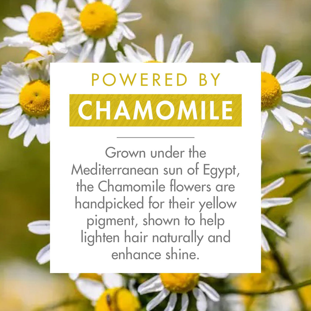 Klorane Chamomile petals close-up suggests gentle brightness for blond hair.
