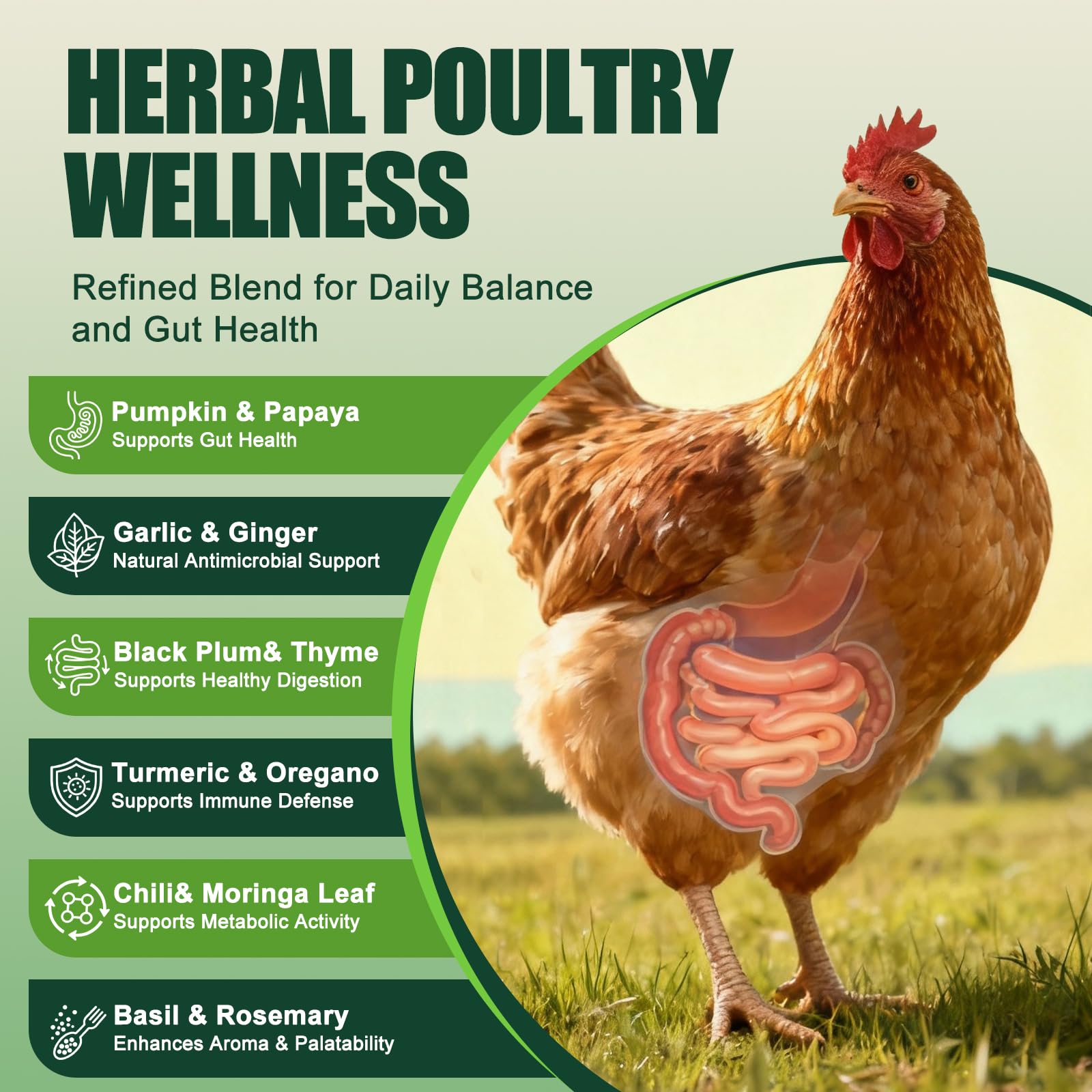 KLUORAN herbal feed supplement promotes digestive balance in chickens.