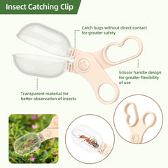 KOALA DIARY tweezers and insect clip for gentle bug handling.