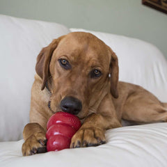 Proudly made in the USA: KONG Easy Treat with quality ingredients.