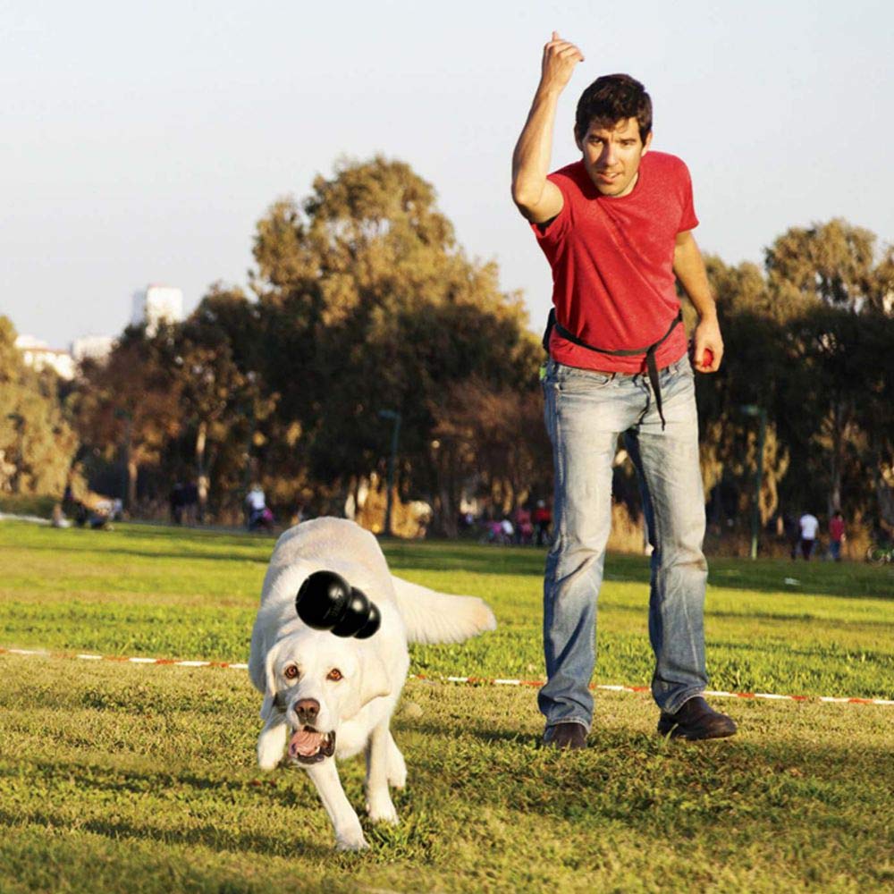 KONG Extreme toy; bounce action for unpredictable fetch and play.