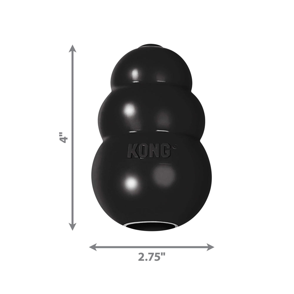 KONG Extreme toy stuffed with treats; encourages problem-solving and engagement.