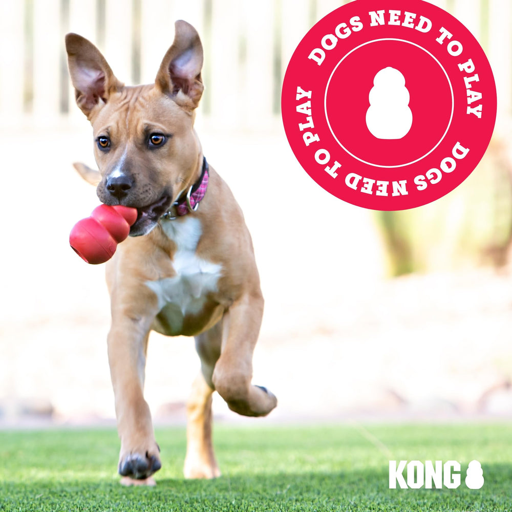 KONG Jerky Chicken md/lg 5 oz Pack-2 USA-made tag.