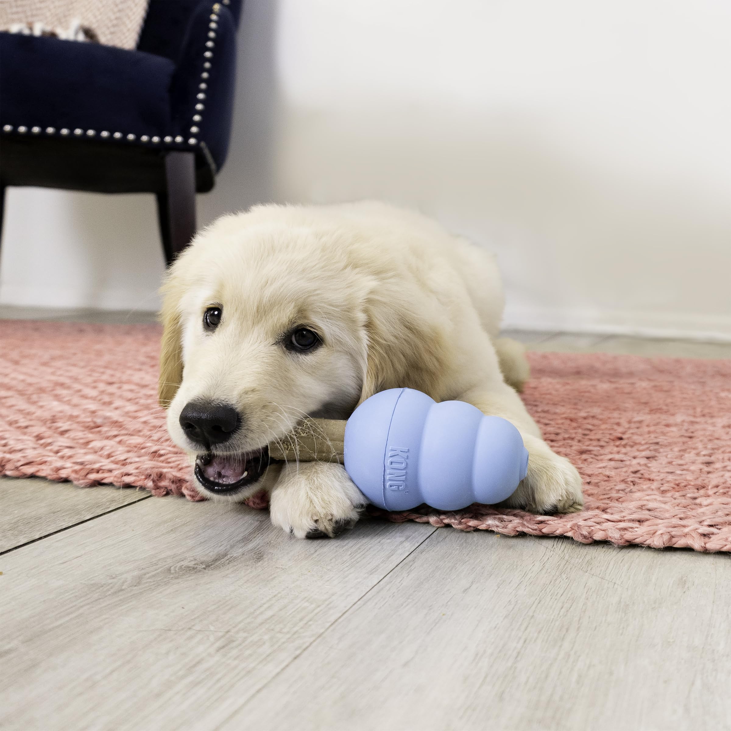 KONG Puppy Ziggies inside a large puppy toy promoting extended playtime.