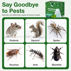 KOOSA deterrent applied indoors to help repel mice safely.