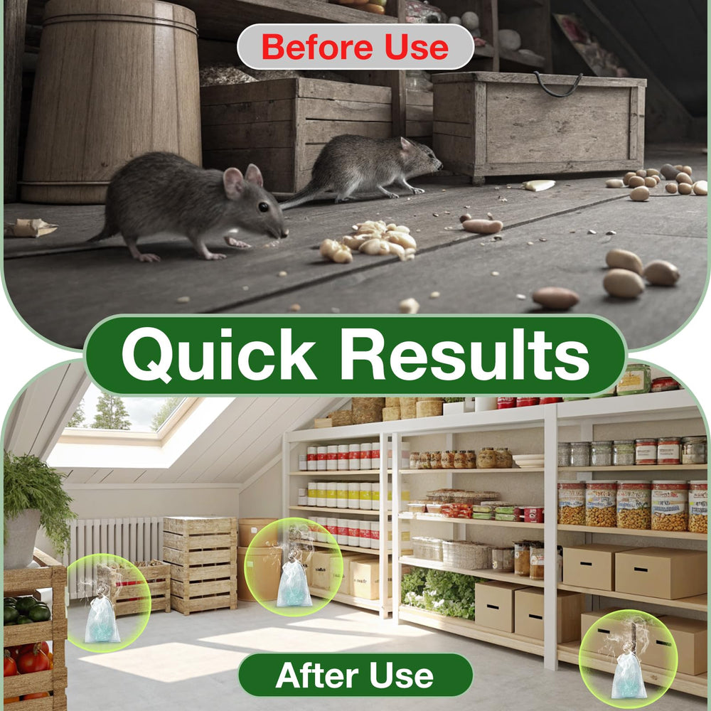 KOOSA mint scent diffusion in a room helps deter pests.