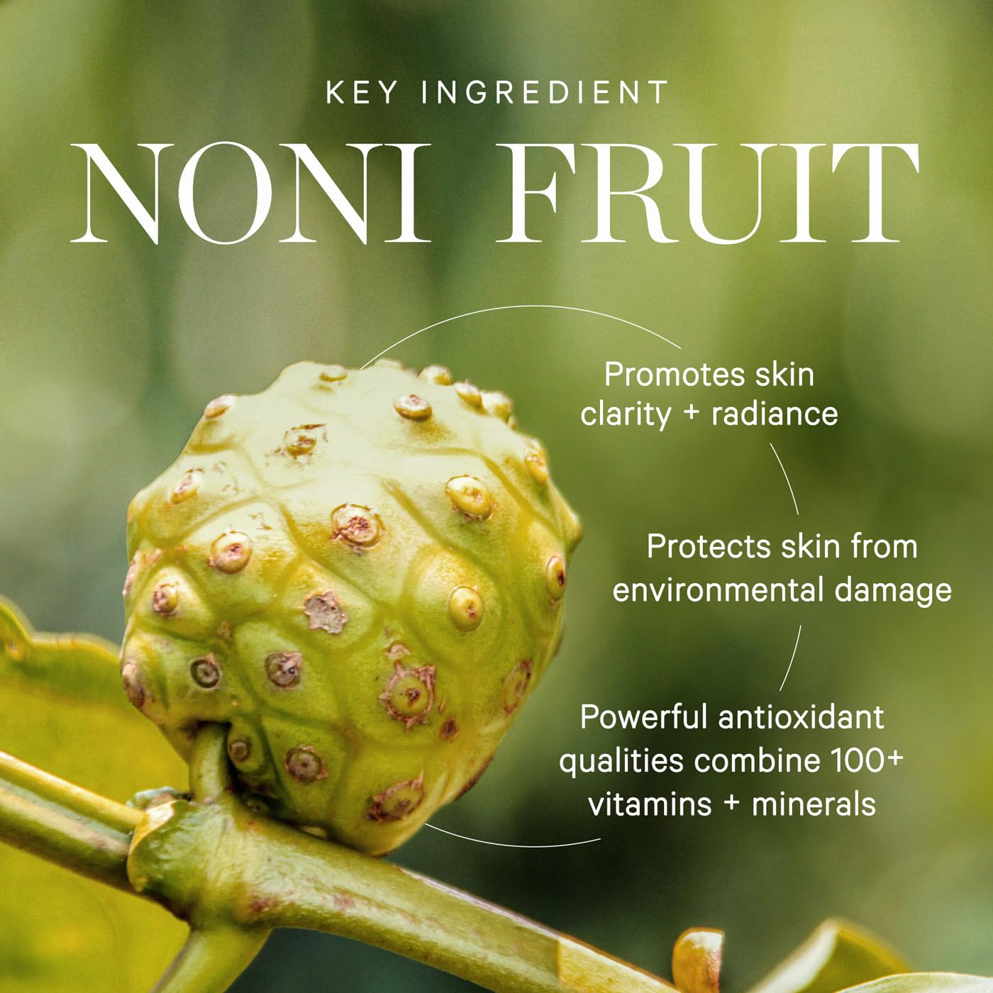 KORA Organics Noni Glow Face Oil paired with gua sha for absorption