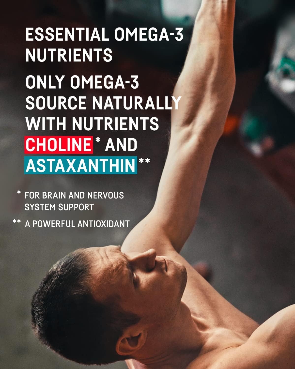 Kori Krill Excel contains 70 mg choline for brain and liver support