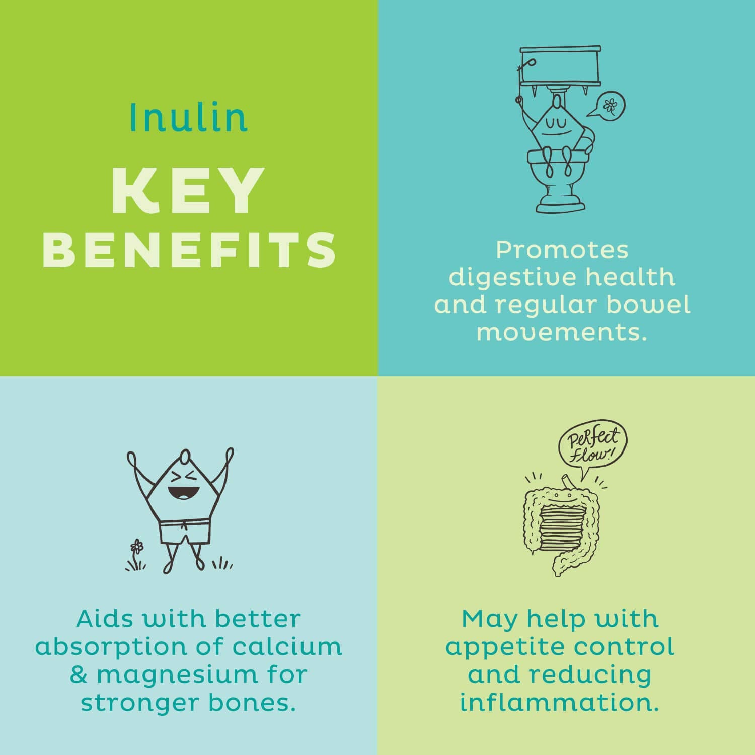 KOS Organic Inulin Powder scoop demonstrates easy measurement for daily prebiotic fiber.
