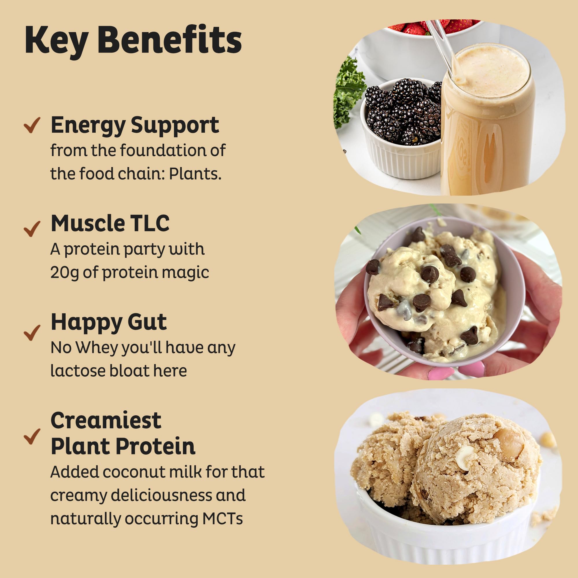 KOS Vegan Protein Powder Vanilla powder closeup shows smooth texture and clean ingredients.
