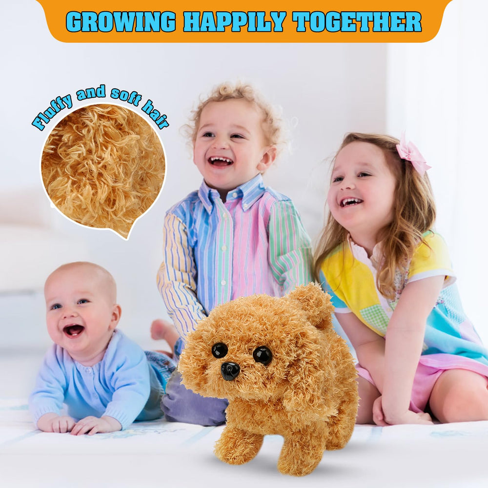 KSABVAIA plush teddy dog gift-ready packaging ideal for occasions.