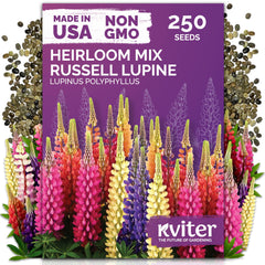 KVITER 250 mix Russell lupine seeds pack ready for sunny borders with tall blooms.