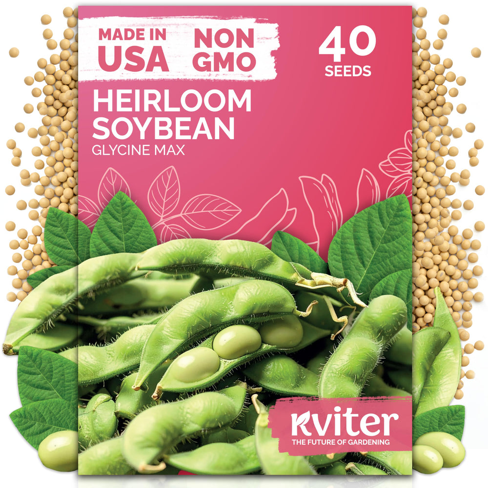 KVITER 40 edamame seed bag popular for home gardening and reliable germination