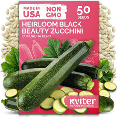 KVITER 50 Black Beauty zucchini seeds ready for planting and a prolific summer harvest.