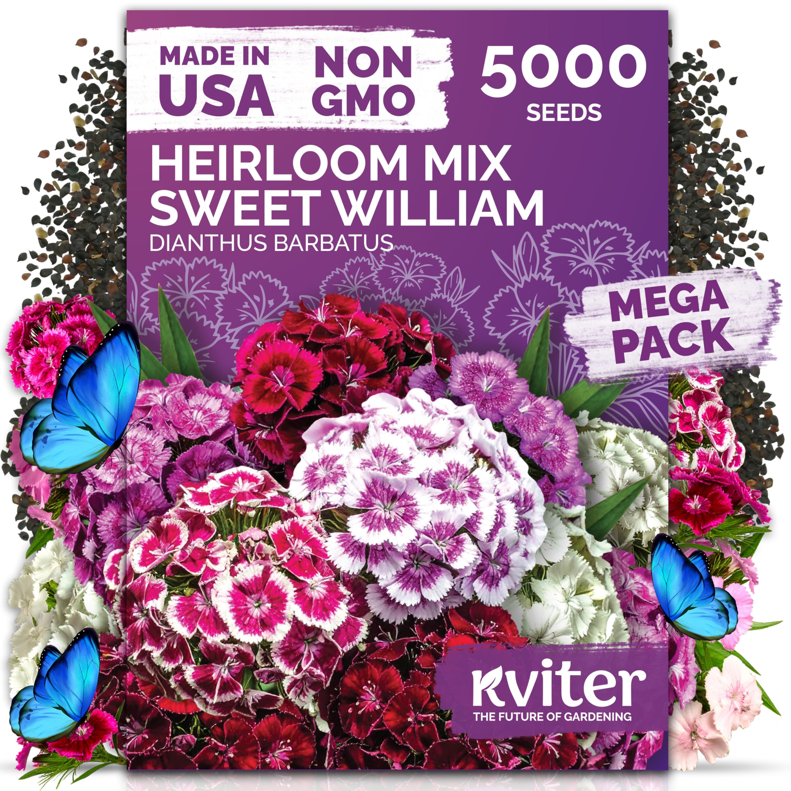 KVITER 5000 Mix Sweet William seeds pack for vibrant perennial color in sunny borders.