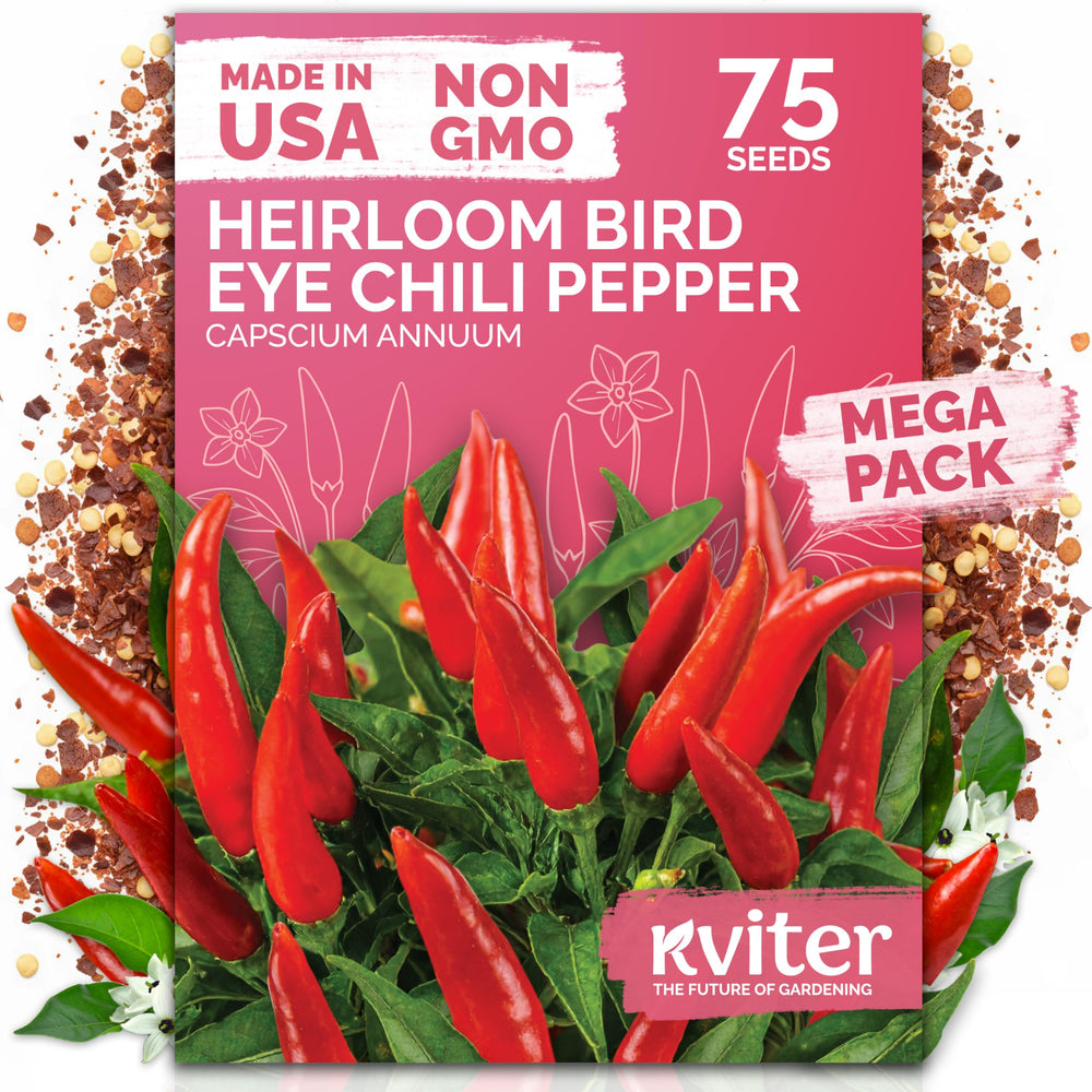 KVITER 75 birds eye chili seeds packet ready for home planting and quick germination.