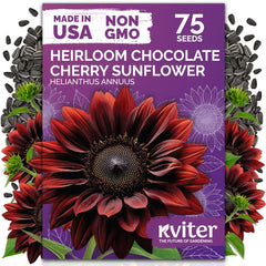 KVITER 75 Chocolate Cherry sunflower seeds front-pack, ideal for starting a home garden.