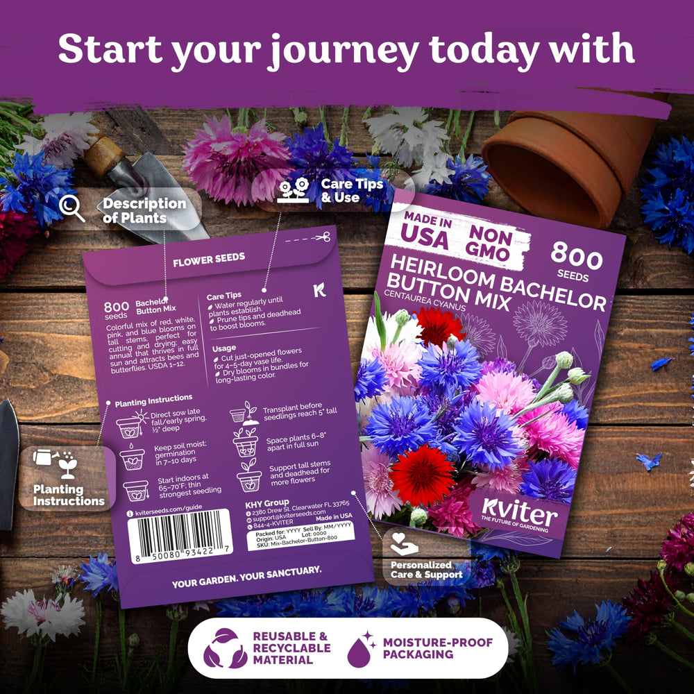 KVITER 800 Mix Bachelor Button Seeds ideal for cut flowers and fresh bouquets.