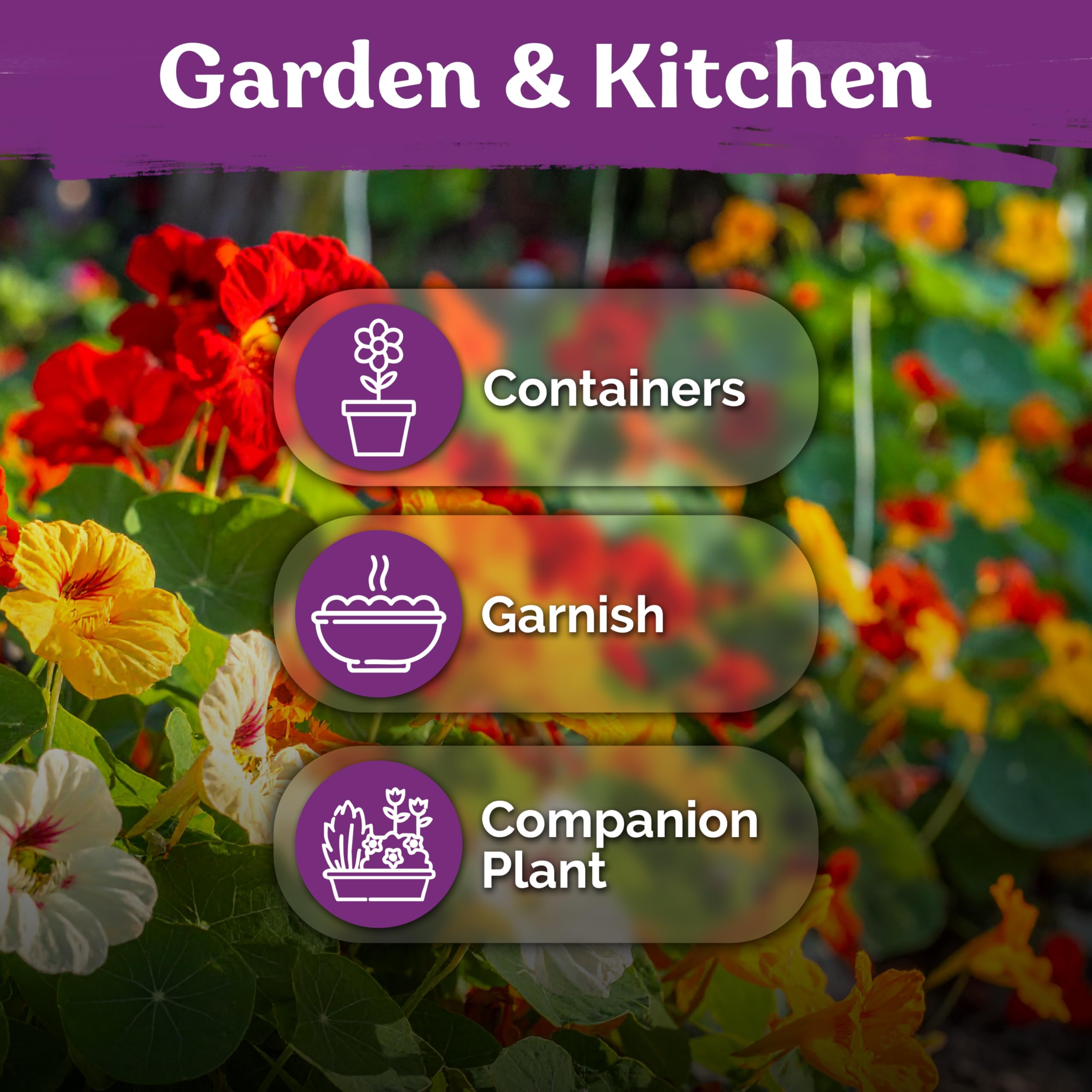 KVITER blooms attract bees and butterflies for pollinator-friendly gardens.