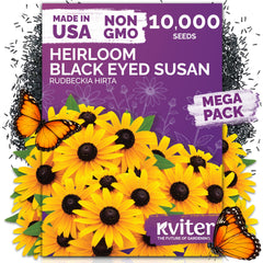 KVITER black-eyed susan seeds packaging for bulk planting and easy garden setup.