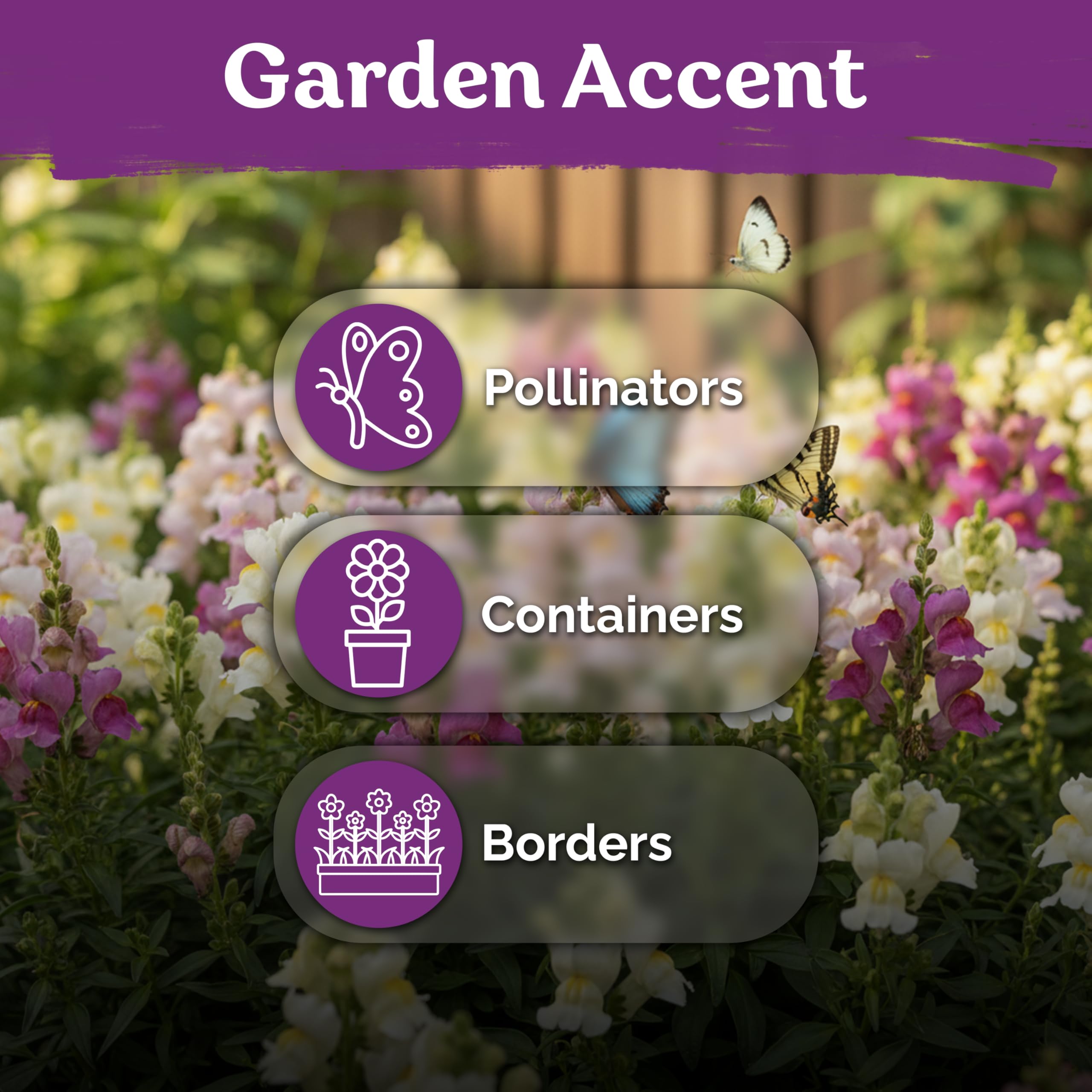 KVITER cut-flower blooms in pink, yellow, purple attract hummingbirds.