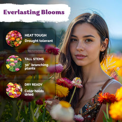 KVITER dried strawflowers wreath featuring long-lasting color.