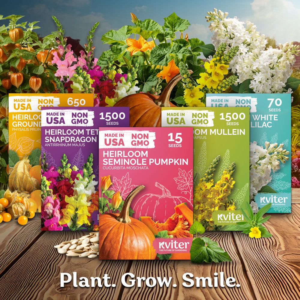 Edible petals add color to garnishes and fresh bouquets with KVITER.