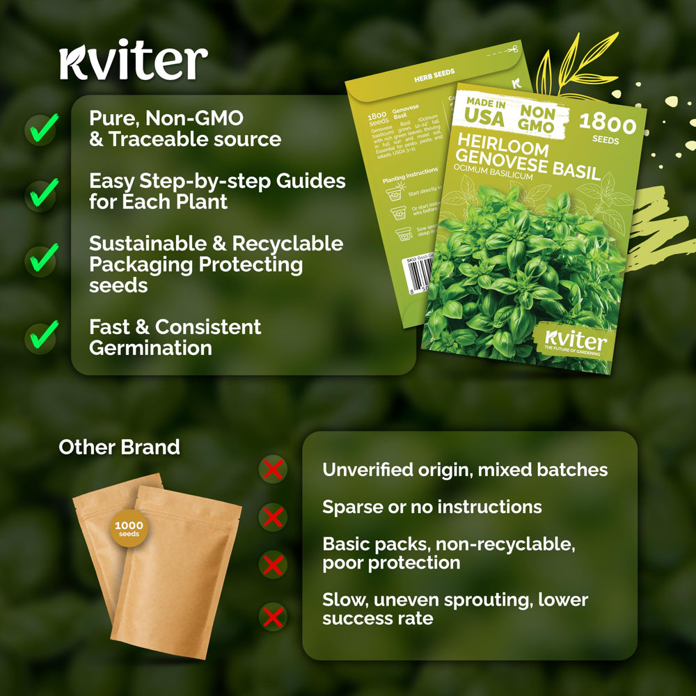 Open-pollinated heirloom Genovese basil promoting authentic flavor.