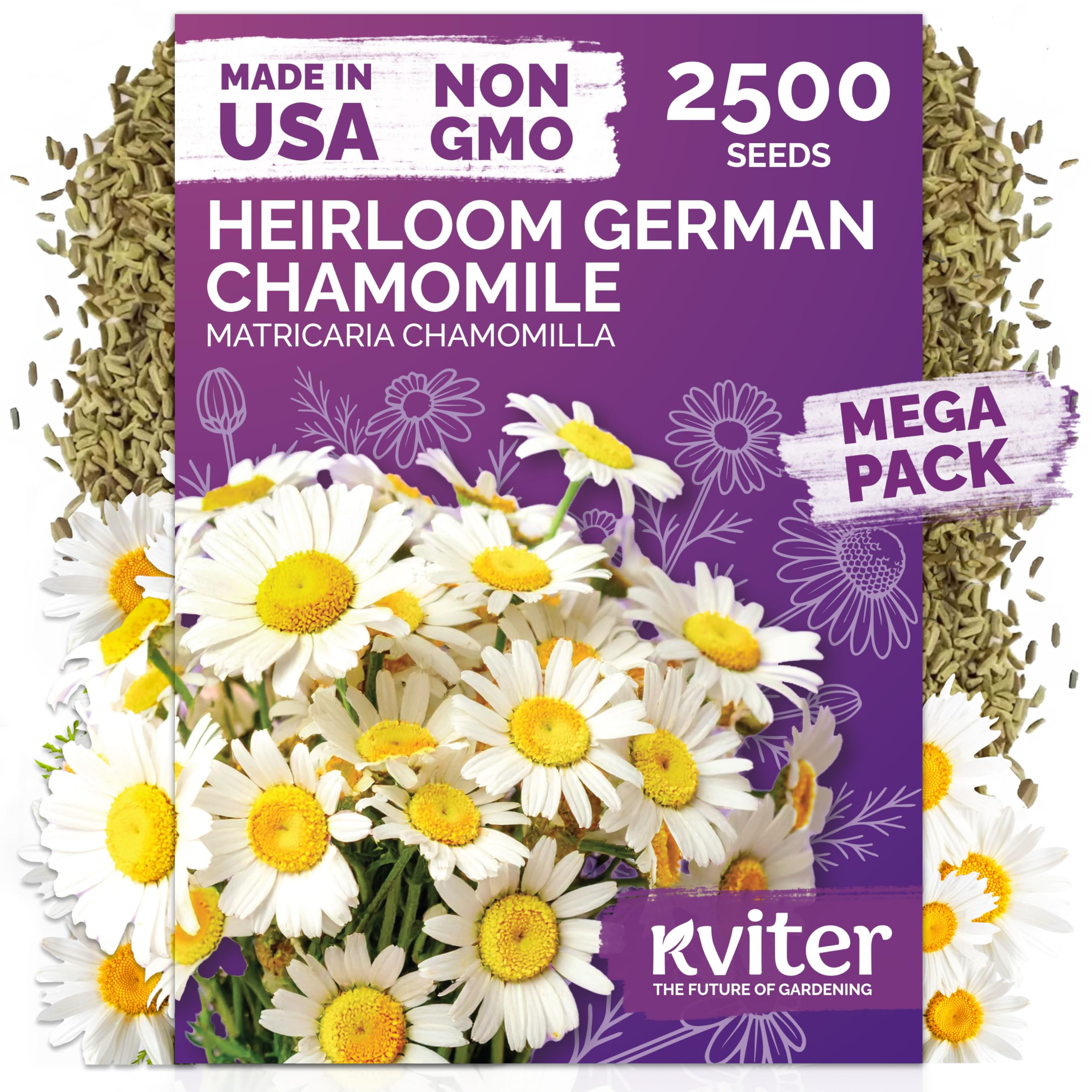KVITER German chamomile seeds 2500 bulk for easy planting in herb gardens.
