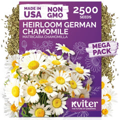 KVITER German chamomile seeds 2500 bulk for easy planting in herb gardens.