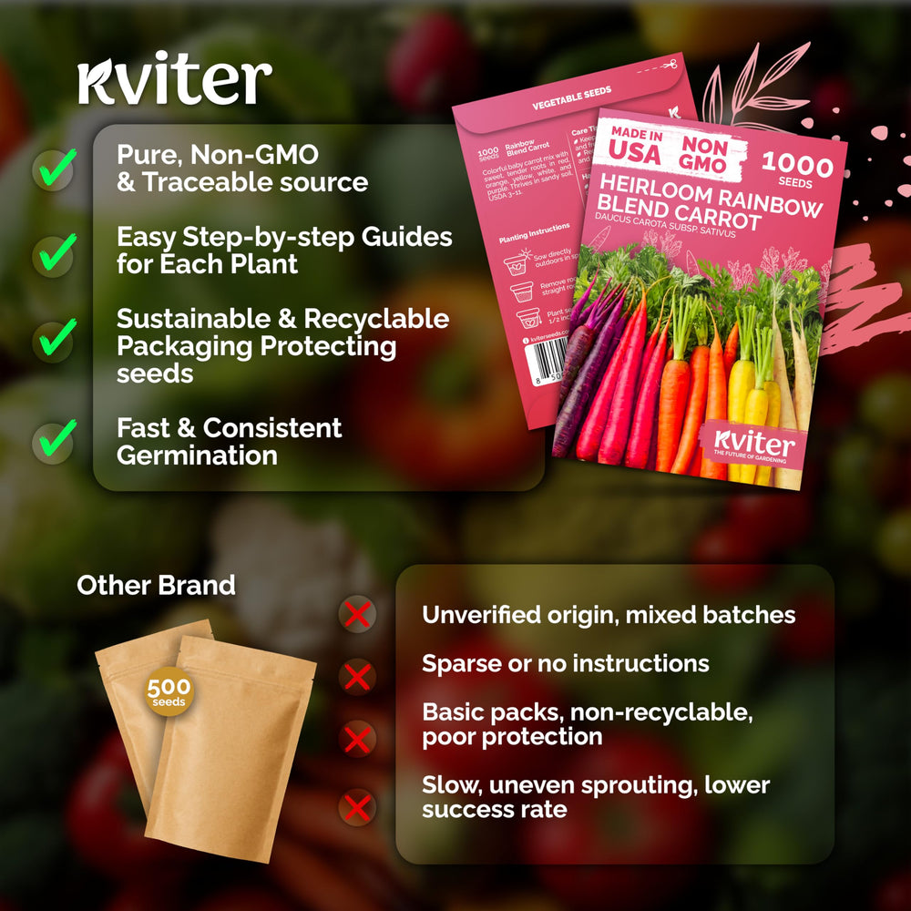 KVITER rainbow seeds germination close-up highlights high potential for thriving plots