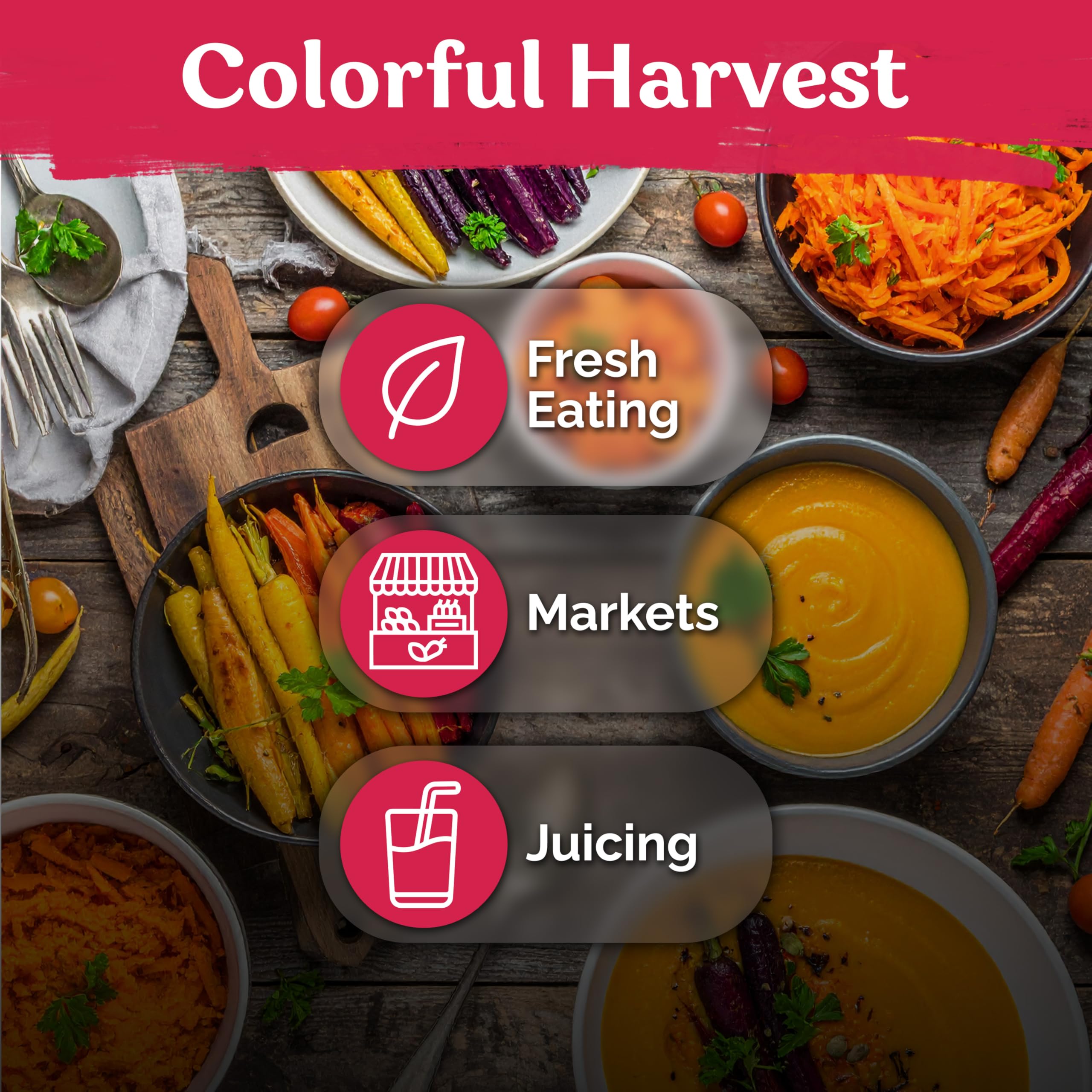 KVITER harvest-ready rainbow carrots ideal for raw snacks or roasting