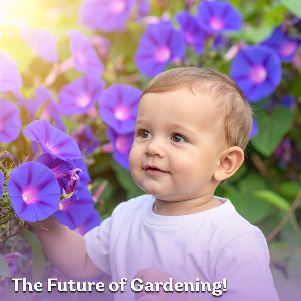 KVITER heritage seeds offer color that lasts season after season.
