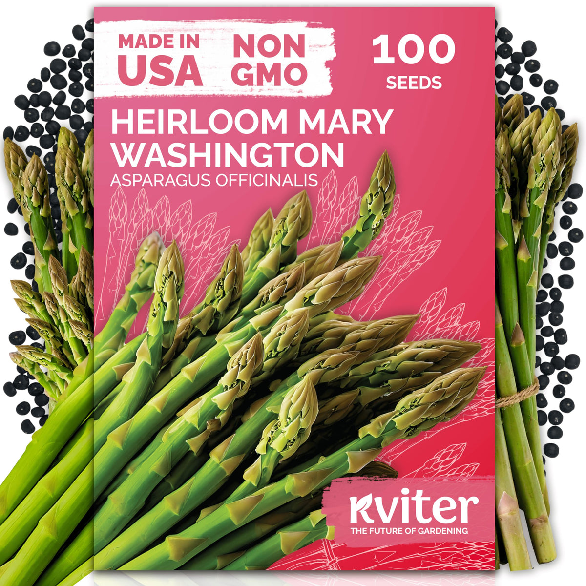 KVITER Mary Washington asparagus seeds pack for long-term garden yields.