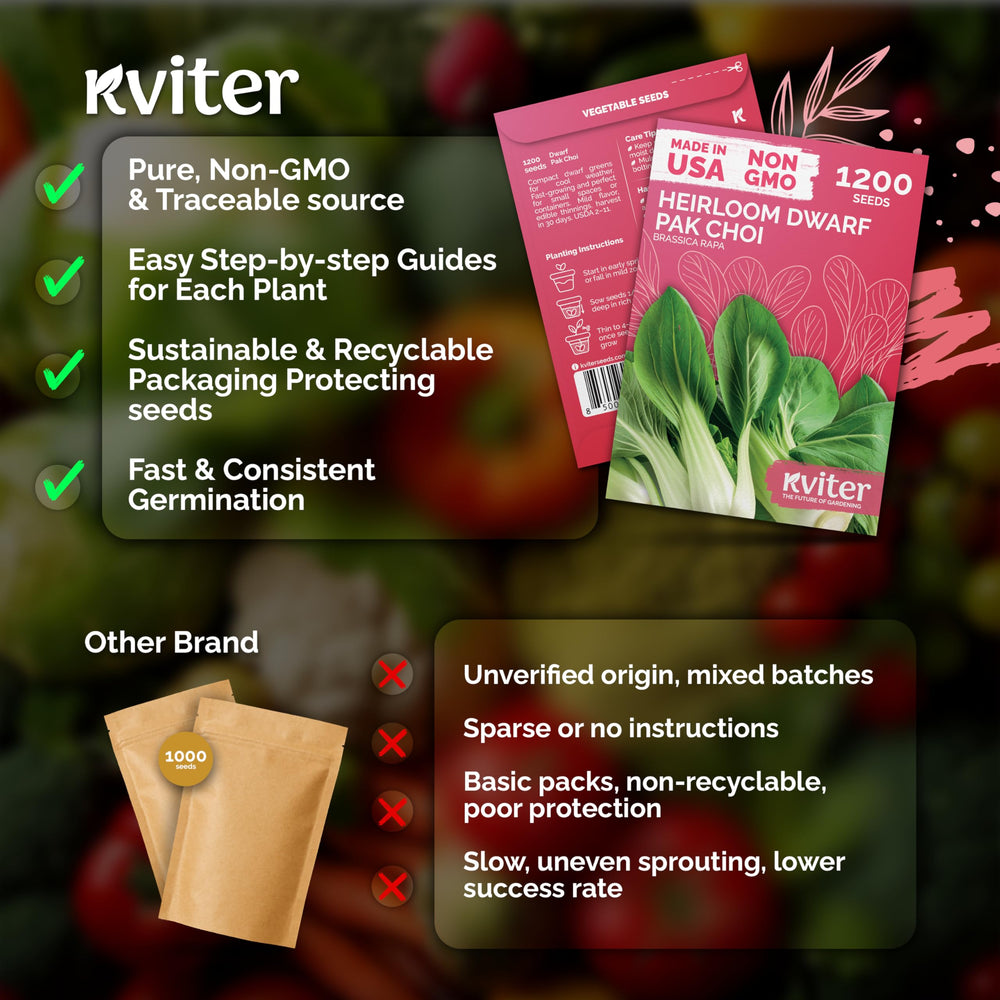 KVITER soil bed setup for bok choy, highlighting moisture-friendly planting conditions.