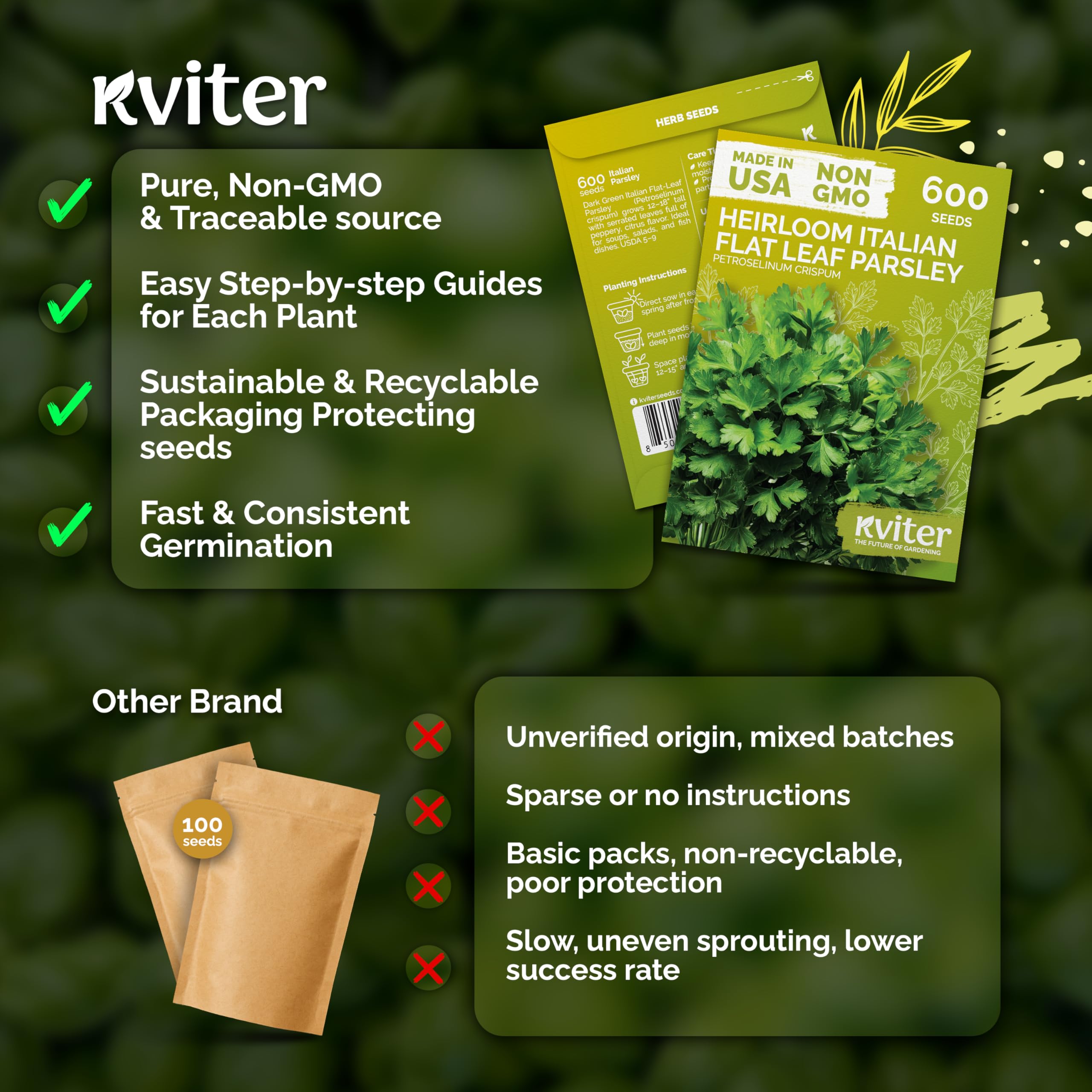KVITER parsley blooms with light-yellow umbels attracting pollinators