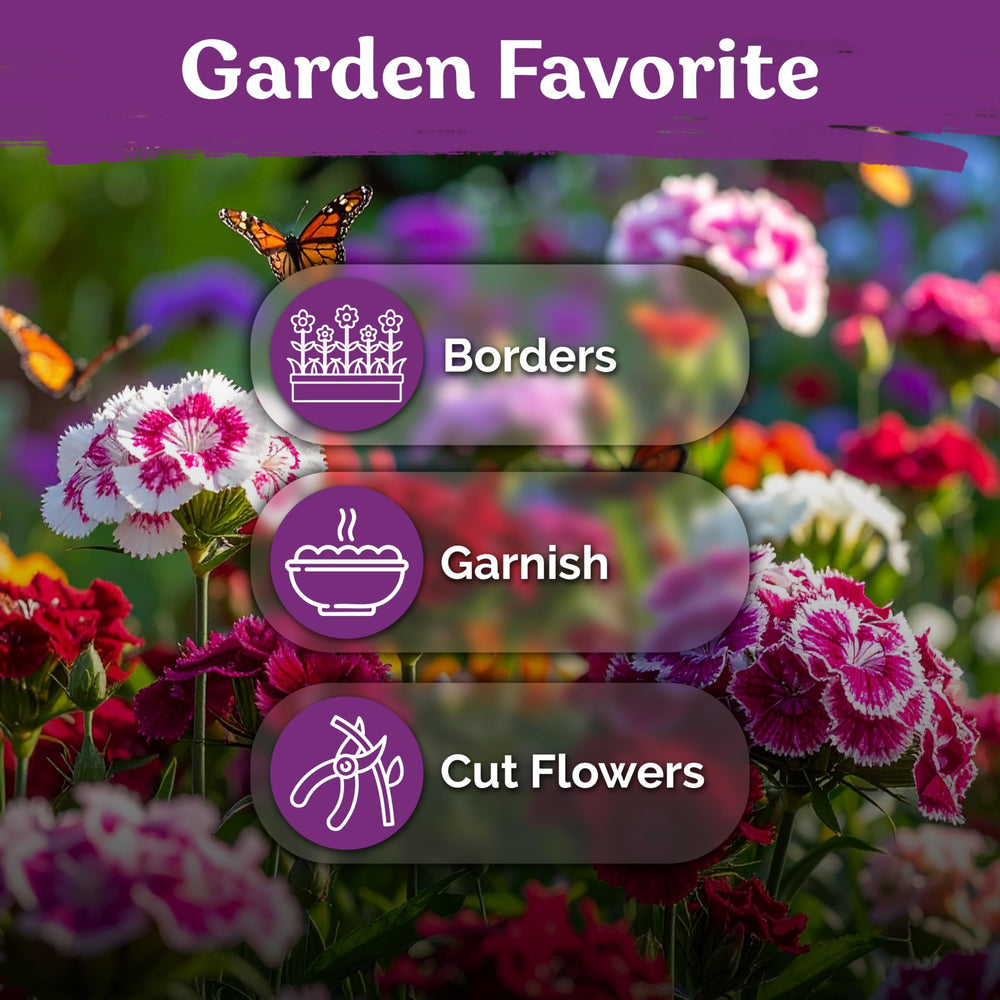 Pollinator-friendly blooms attract bees and butterflies to the flower patch.