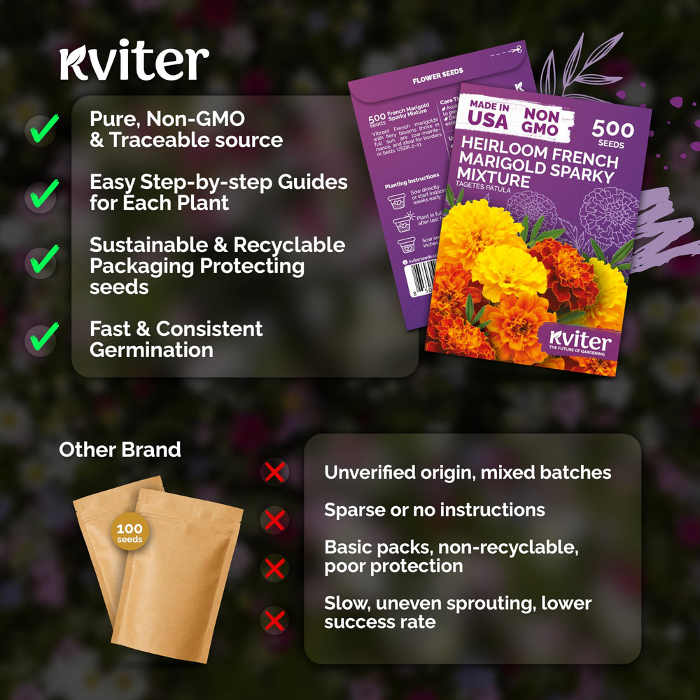 KVITER Sparky Mix blooms brightening a sunny container garden.