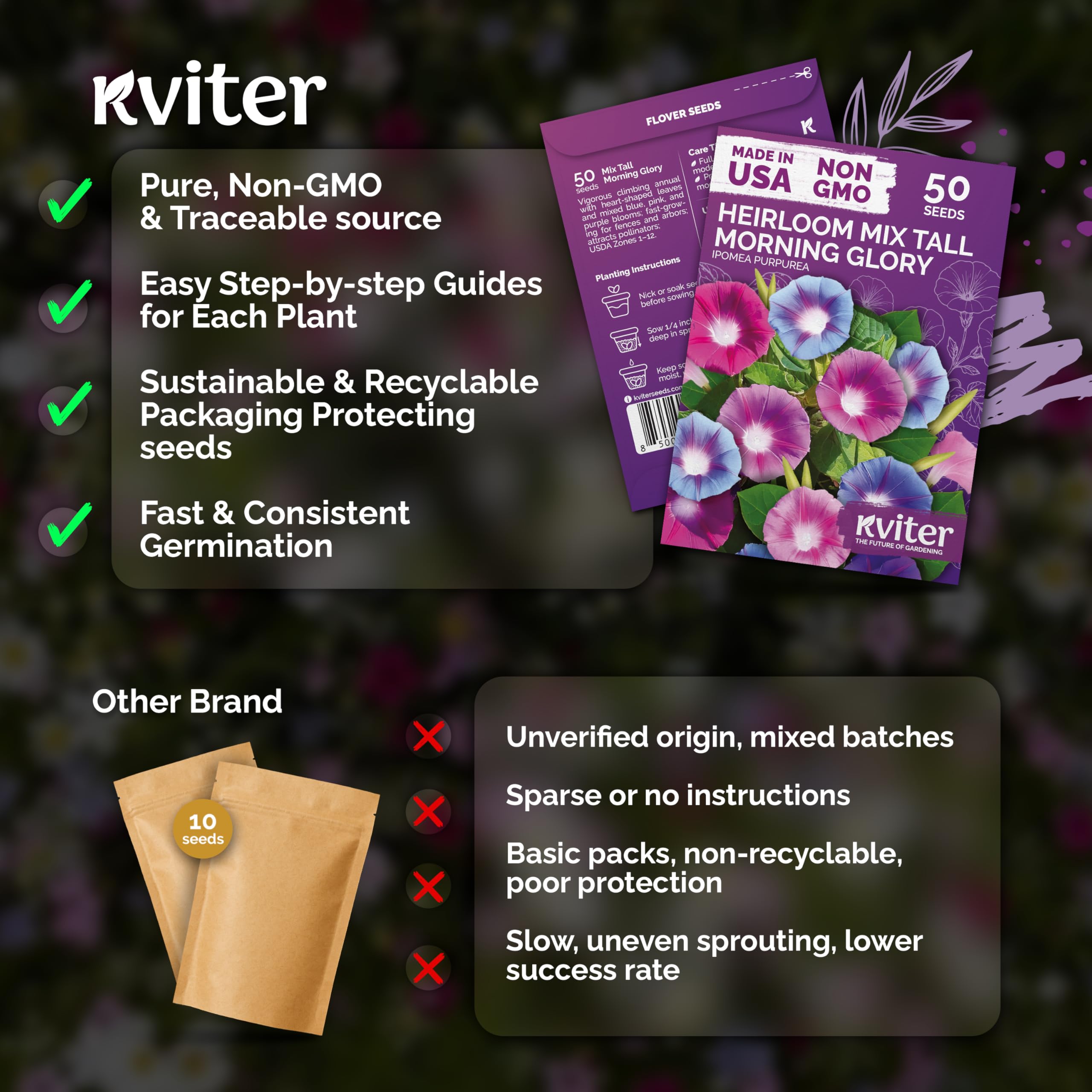KVITER sunlit morning glory garden blooms brighten outdoor spaces.