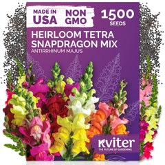 KVITER tetra mix seeds pack front, ideal for outdoor garden planting