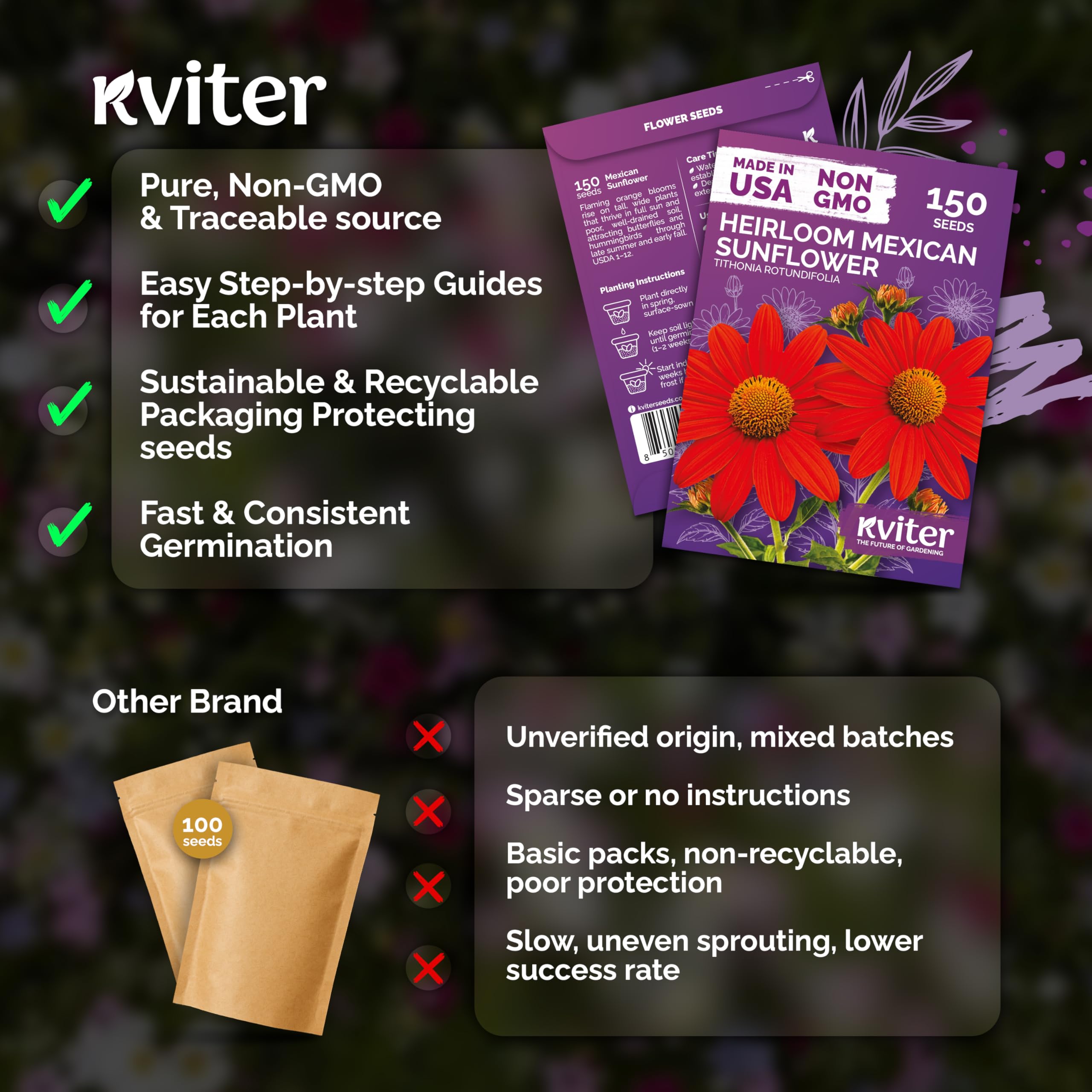 KVITER Tithonia pollinator-friendly bloom attracts butterflies and hummingbirds.
