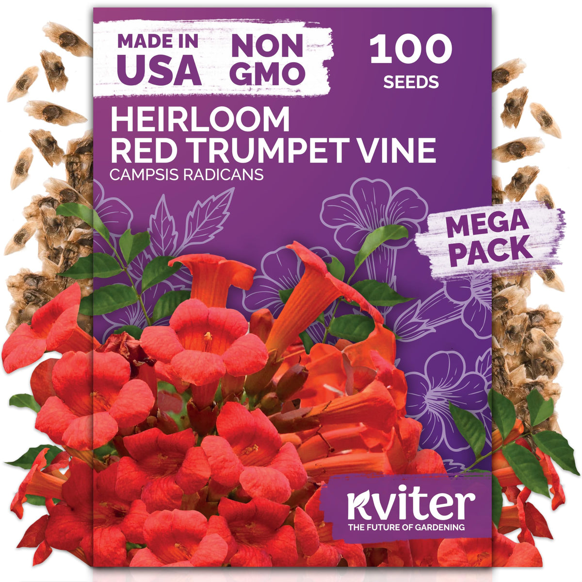 KVITER trumpet vine seeds packet showing red blooms and climbing potential for fences.
