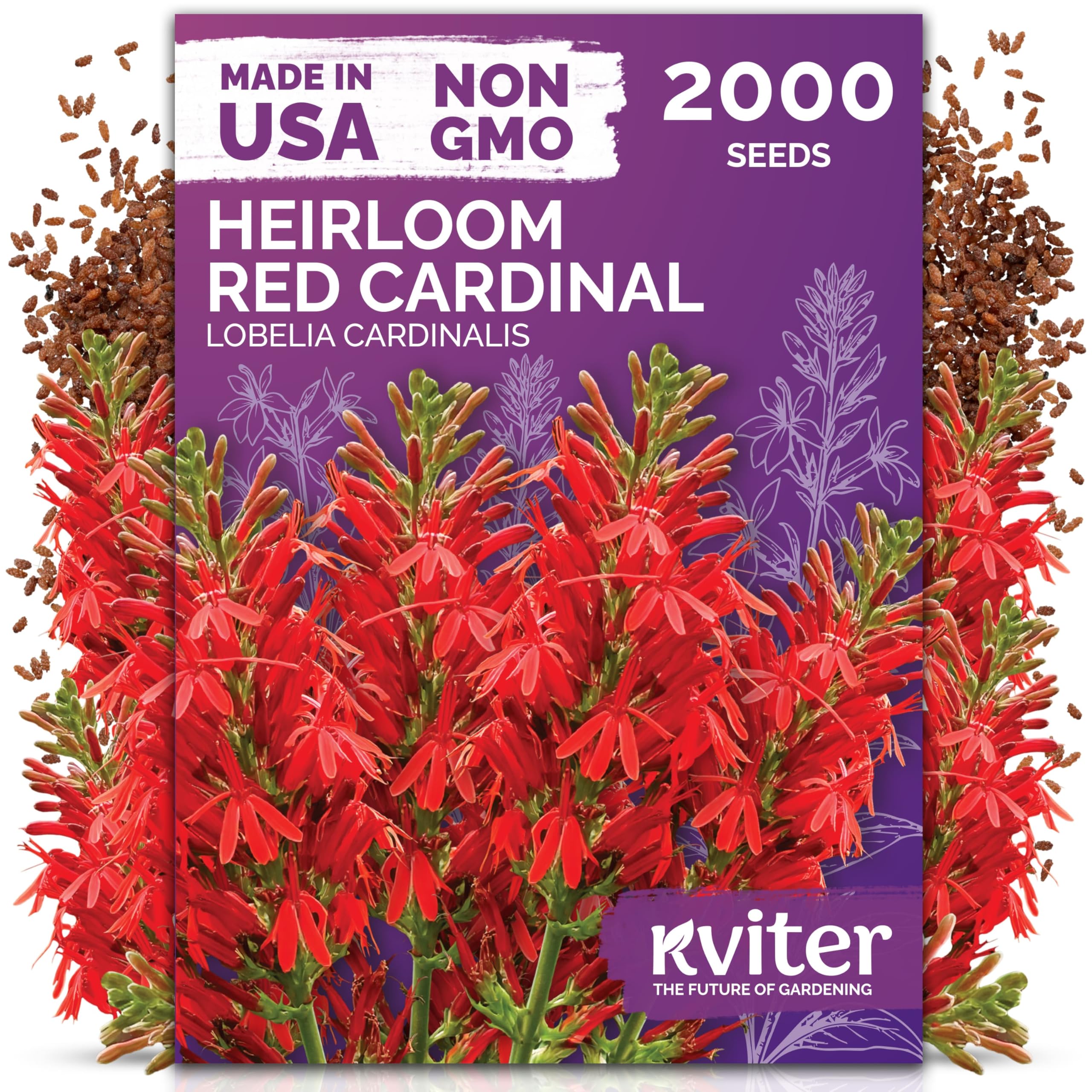 KVITER 2000 seed packets with clear sowing guidance for spring planting.