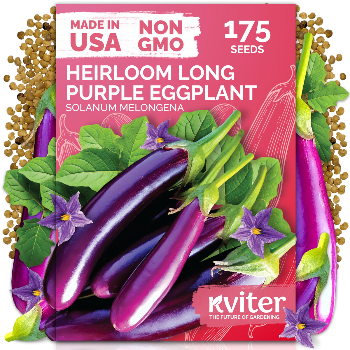 KVITER 175 long purple eggplant fruit ready for harvest, ideal for grilling