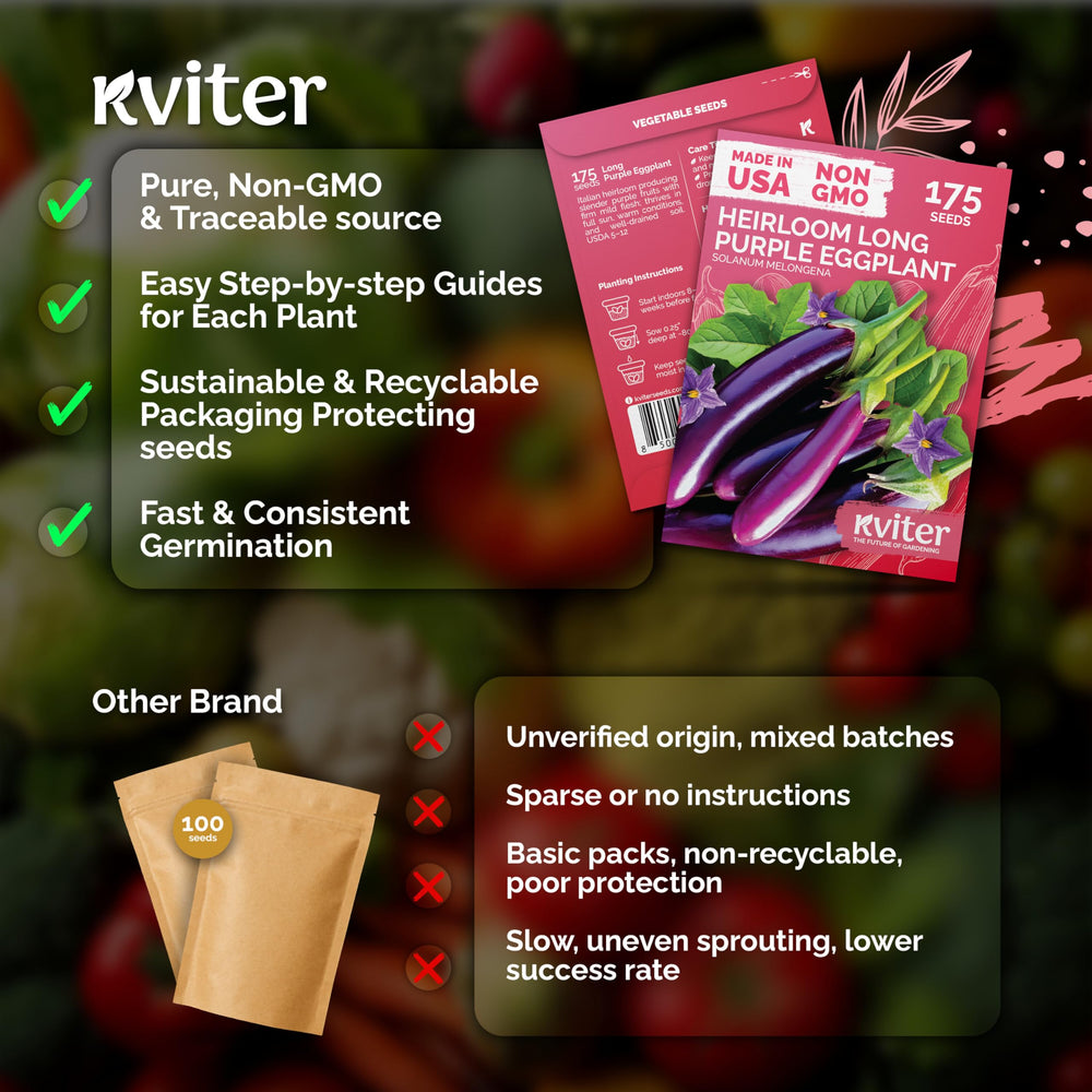 KVITER 175 mild-flavor eggplant flesh for roasting and sautéing