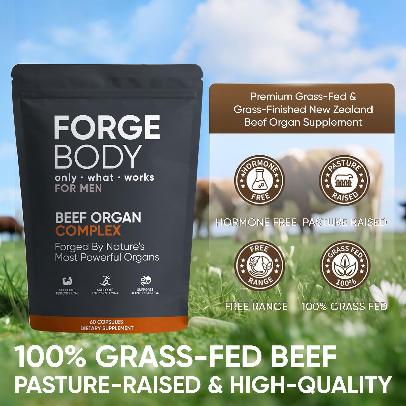 KXVUDE Forgebody pasture-raised beef concept image with ethical sourcing