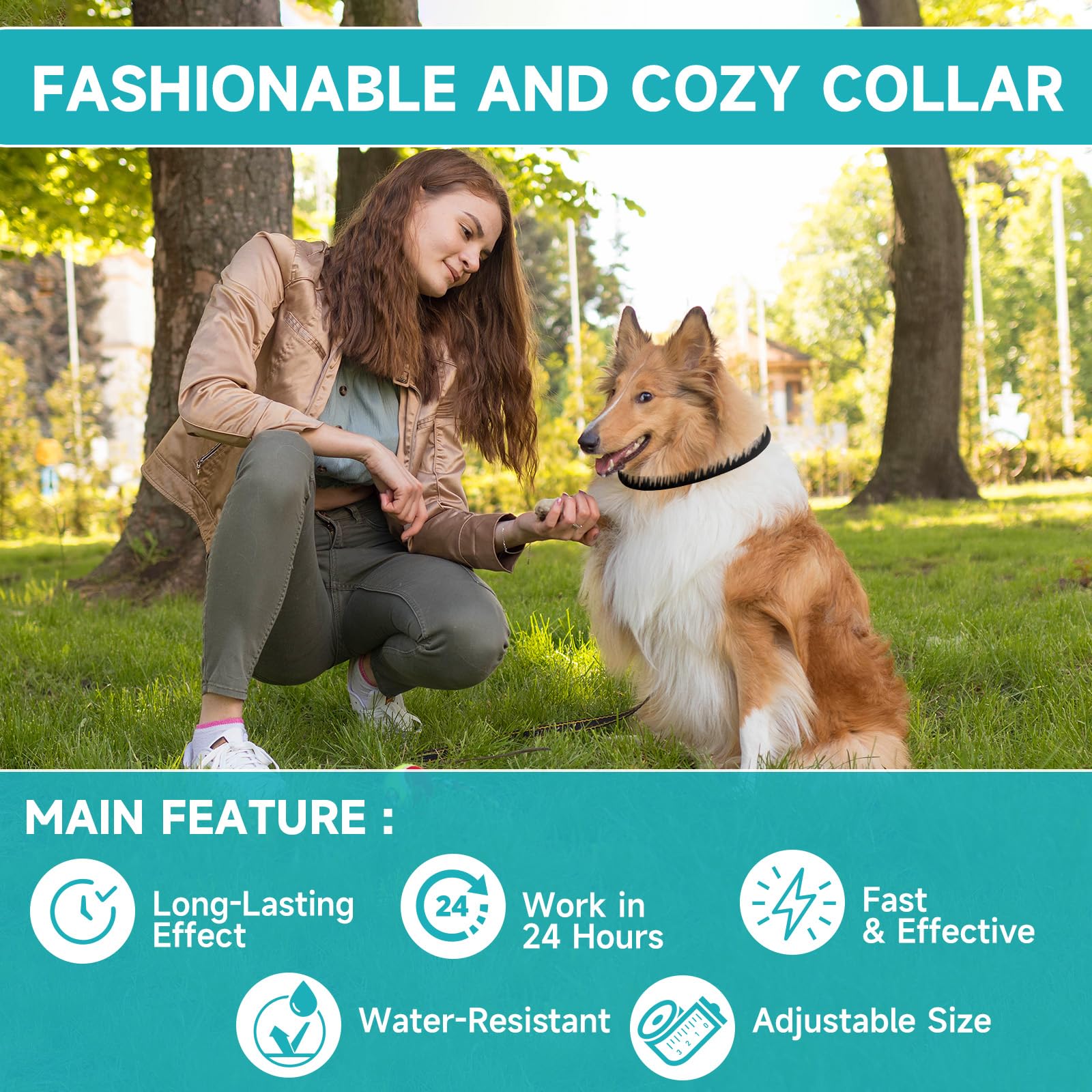 KYGNE 4-pack flea collar display, affordable multi-pack protection